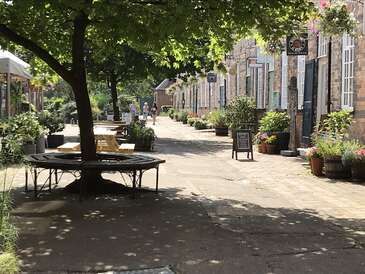 The courtyard at Maws in Summer