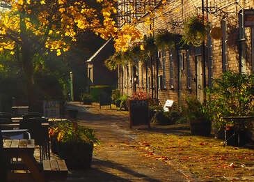 The courtyard in Autumn