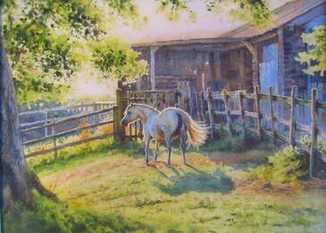 Doddenhill pony